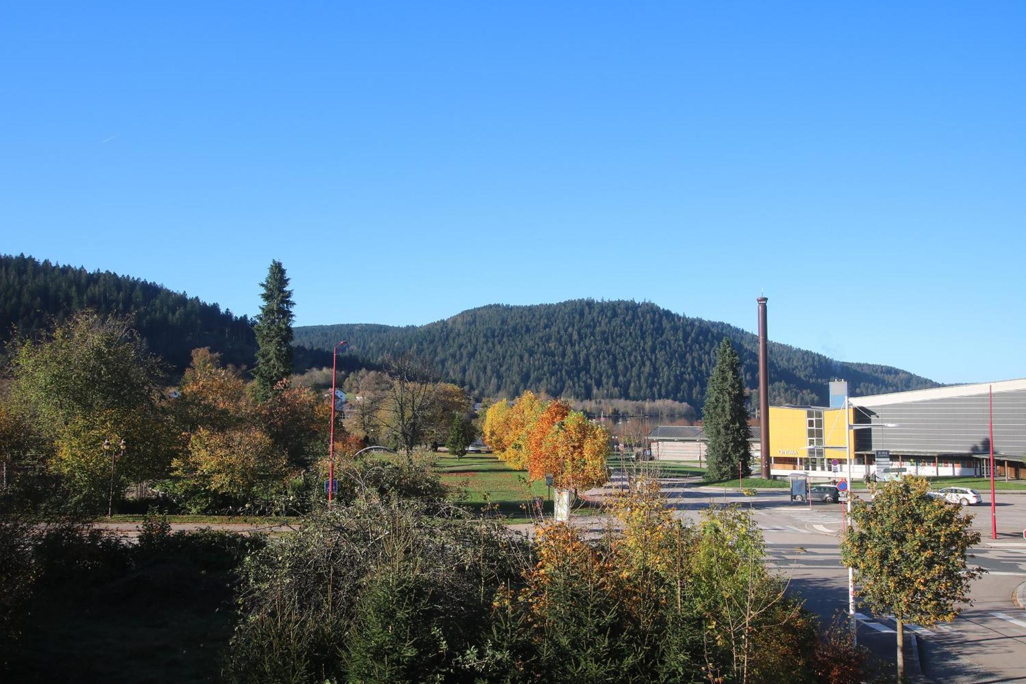 Les Loges Du Parc Hotell Gérardmer Rum bild